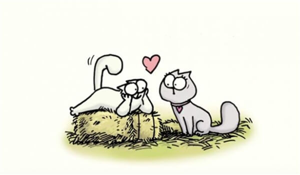 Cats falling in love