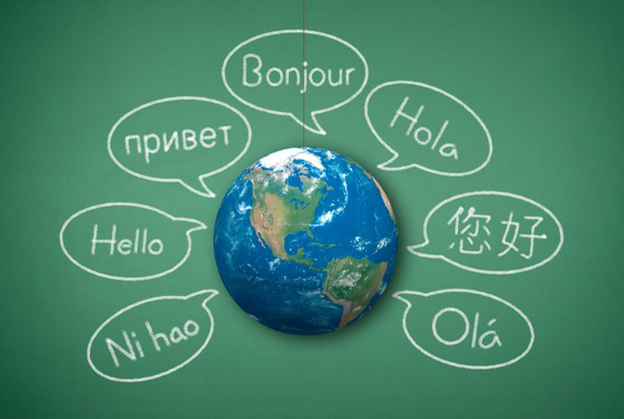 Language Immersions