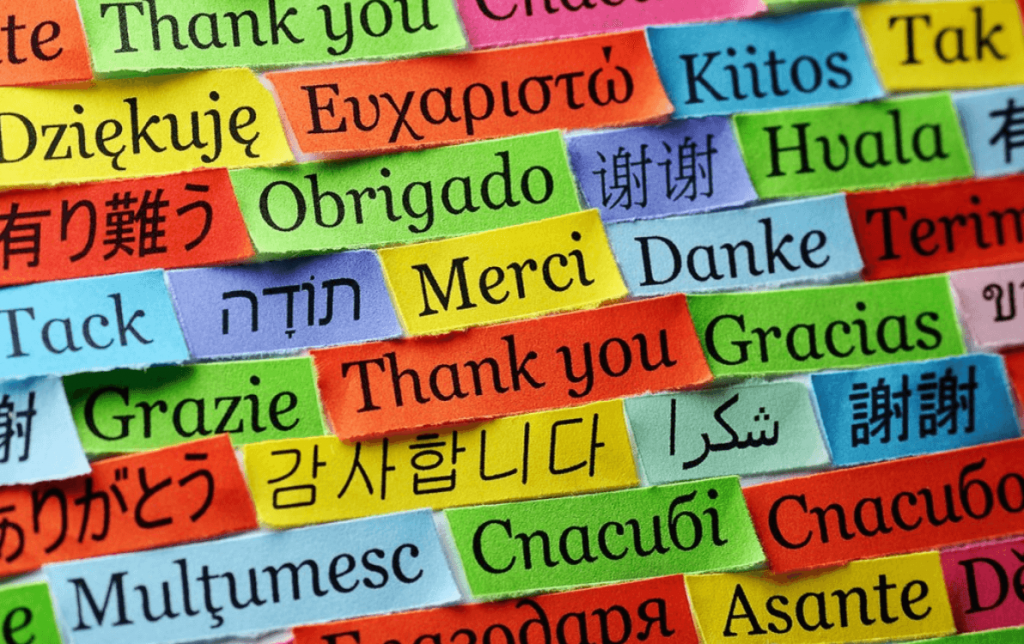 World Languages