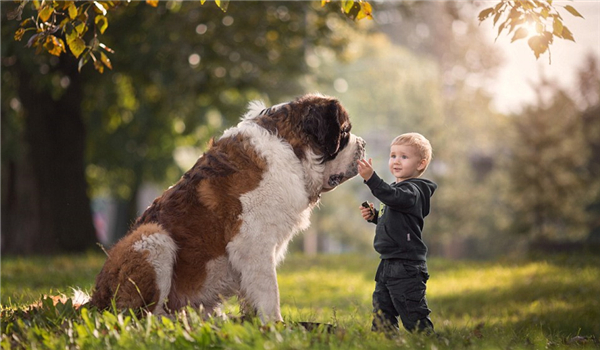 Matthew-and-St-Bernard-